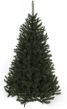 Kerstboom Kingston groen H120 D81 cm