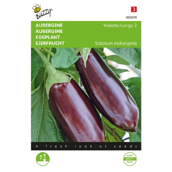 Aubergine Violette Lunga 2 