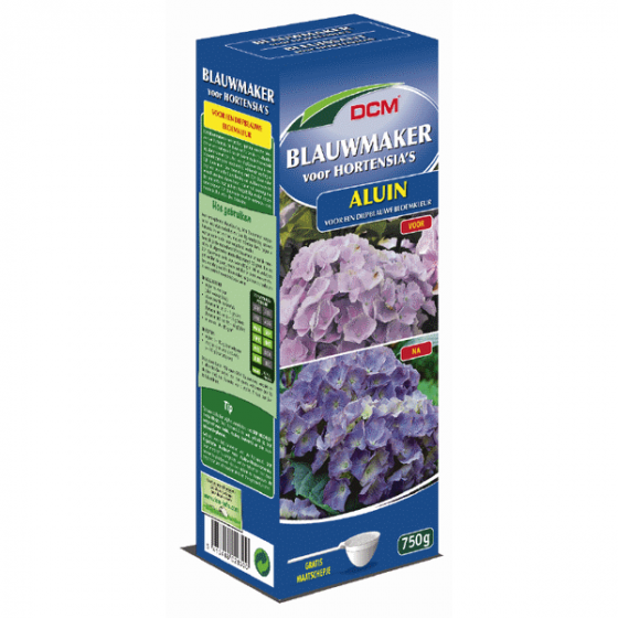 DCM Blauwmaker Hortensia's - Aluin