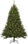 Kerstboom Kingston LED H120 D81 cm