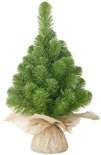 Kerstboom Norton groen H60 D23 cm