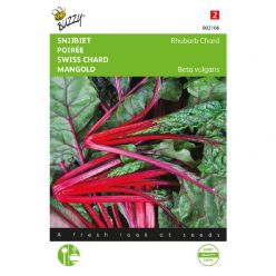 Bieten red chard micro leaf 