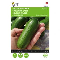 Komkommers snack iznik f1